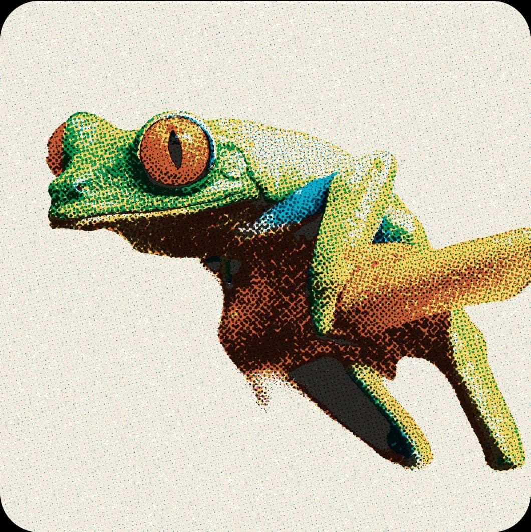 Halftone CMYK frog